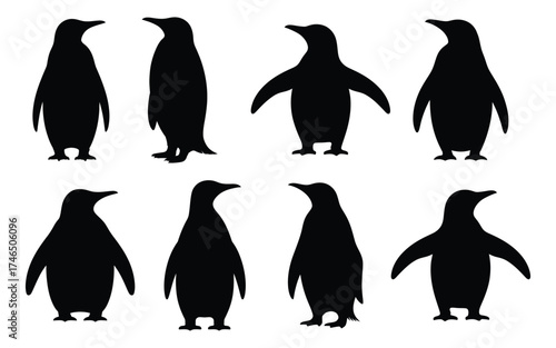 penguin silhouette vector illustration isolated on white background