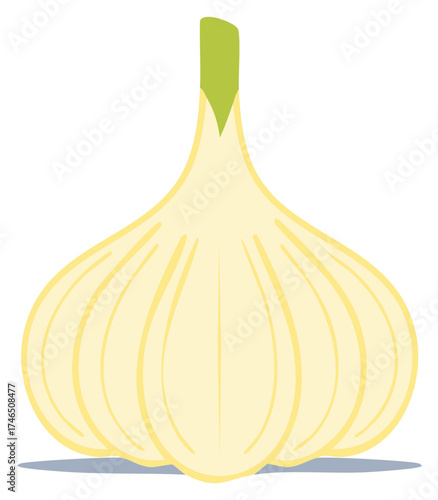 Garlic Head Vegetable Illustration Spice Food Ingredient Cooking Flavor