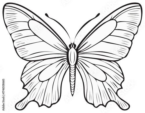 Symmetrical butterfly line art drawing for a coloring book page