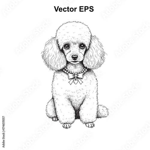 Vector art of poodle dog sitting, wearing a pearl necklace and bow
