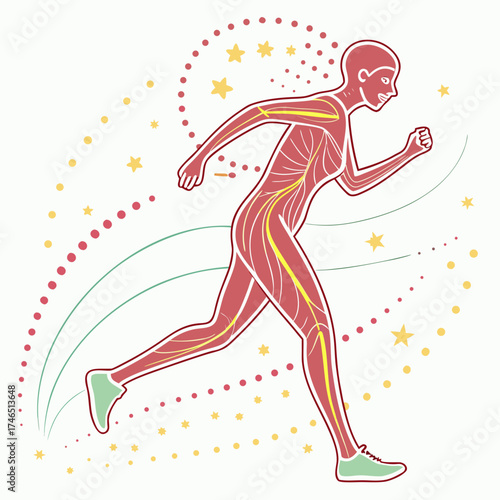 Stylized illustration of a running human figure with visible yellow nerve pathways and red muscle fibers surrounded by decorative dots and stars