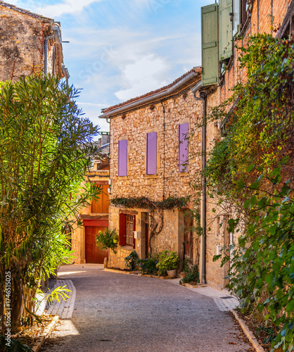 Fototapeta Naklejka Na Ścianę i Meble -  Street in the medieval village of Puycelsi, in the Tarn department, Occitanie, France