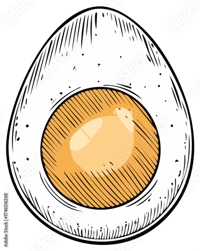 Illustration of a Hard-Boiled Egg Halved Showing Yolk and White