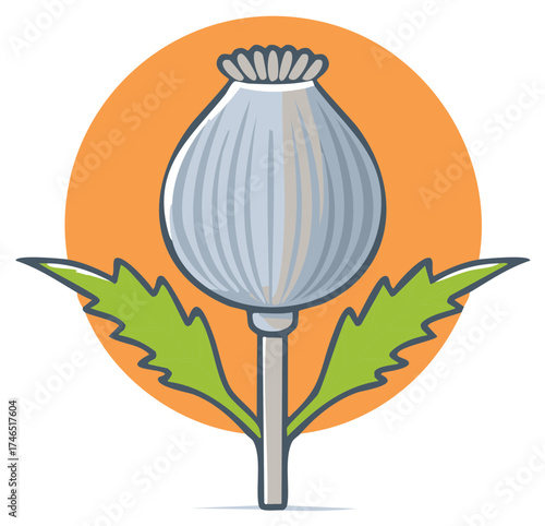 Stylized illustration of a poppy seed pod with green leaves and an orange circular background