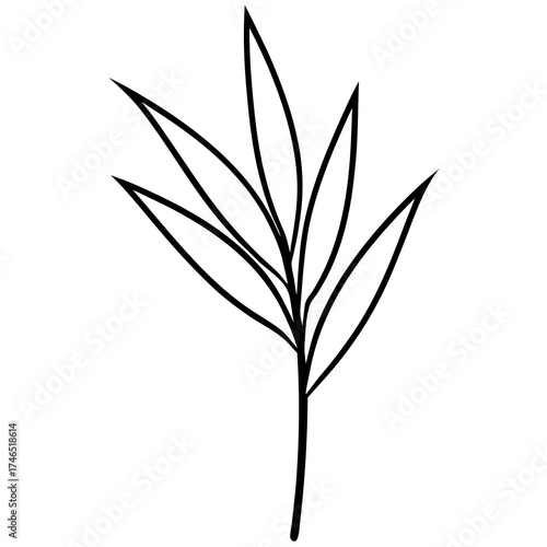 black silhouette of a plant