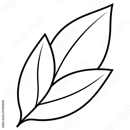 black and white leaf