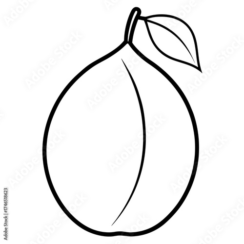vector illustration of a banana