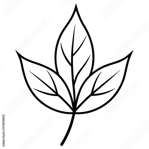 black and white leaves