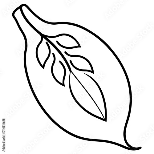 vector illustration of a leaf