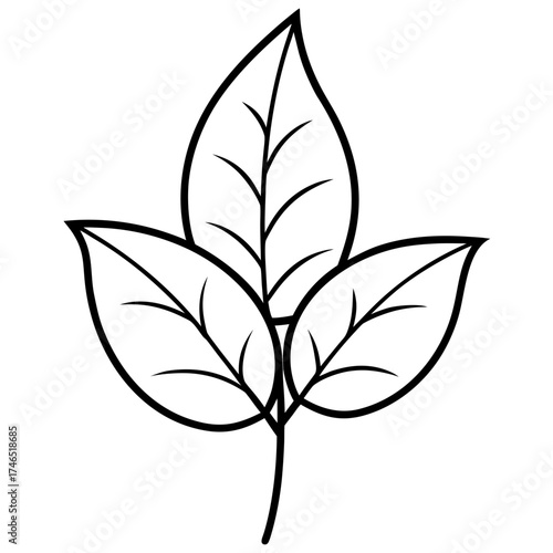 green leaf silhouette