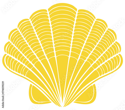 Yellow scallop shell graphic illustration with decorative white lines