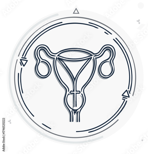 Stylized Line Art Illustration of Female Reproductive System Anatomy