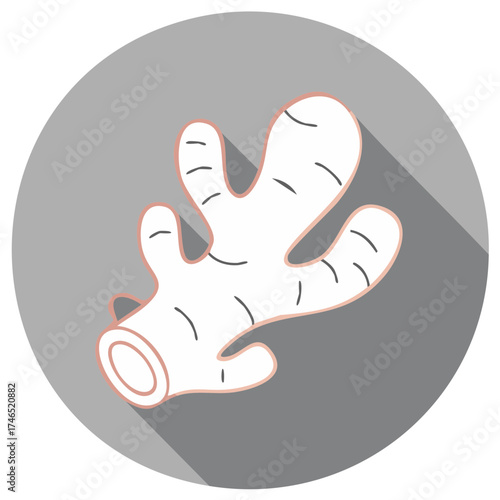 Stylized illustration of a fresh ginger root with subtle details and a soft shadow