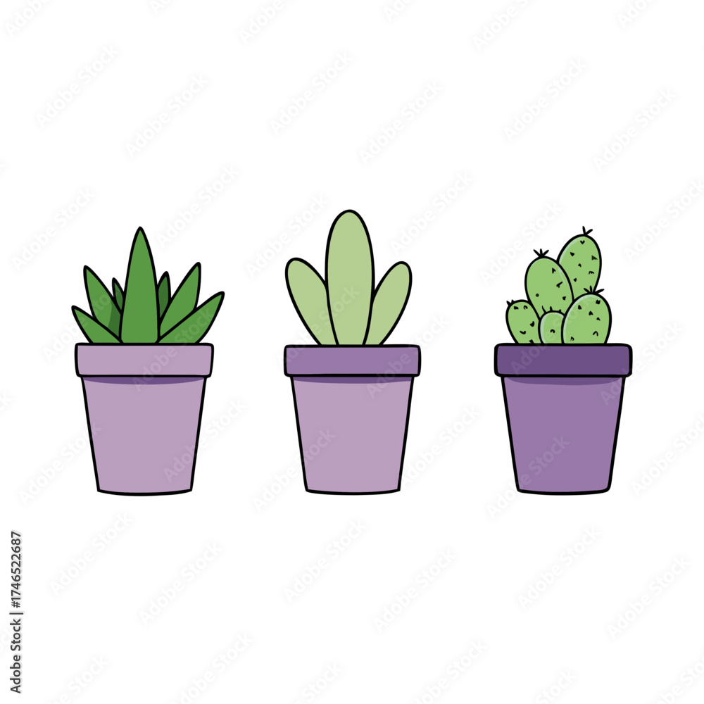 Obraz premium Assortment of potted succulents and cacti vector illustration for decorative designs