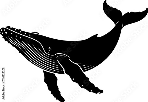 Humpback whale silhouette vector illustration