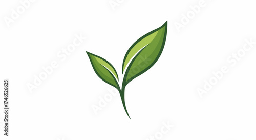 Green two leaf sprout symbolizing new life and growth.