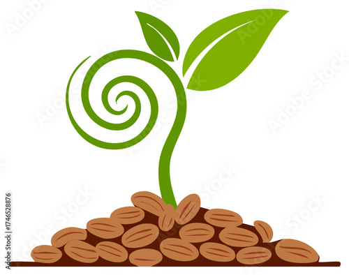 Stylized Green Plant with a Spiral Stem Sprouting from a Pile of Coffee Beans