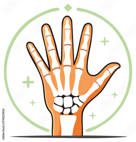 Cartoon hand with visible skeleton bones medical anatomy vector illustration