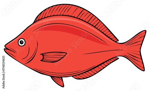 Illustration of a bright red snapper fish swimming