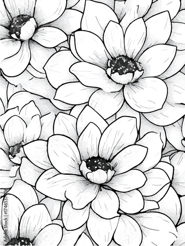 Coloring Page - vectorized 