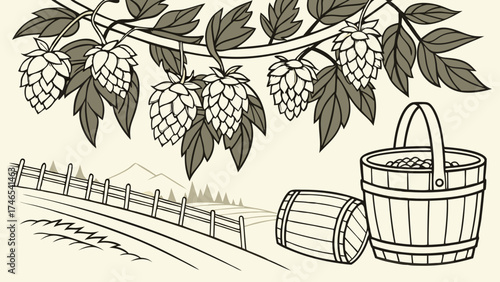 Hop Harvest Rustic Illustration of Hops Barrels and a Bucket.
