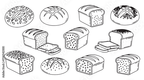 Variety of baked bread loaves and rounds in hand drawn sketch style for food concepts vector