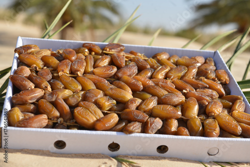 A plastic box filled with fresh Tunisian dates resting on the desert sand beside green palm leaves, symbolizing oasis life, natural sweetness, and the authentic agriculture of North Africa.