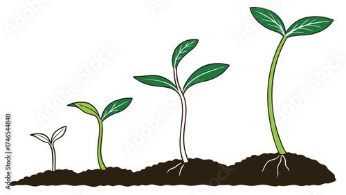 Plant Growth Stages Seedling Development Sprout Growth Nature Illustration Botanical Illustration Environmental Conservation Eco-Friendly Concept Sustainable Growth Green Energy Spring G.