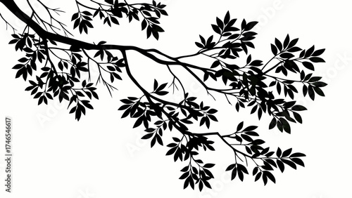 Silhouette of tree branch with leaves nature design element black and white illustration.
