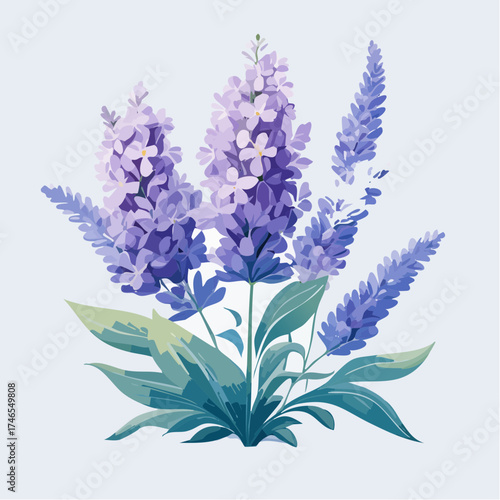 Lavender flowers with green leaves
