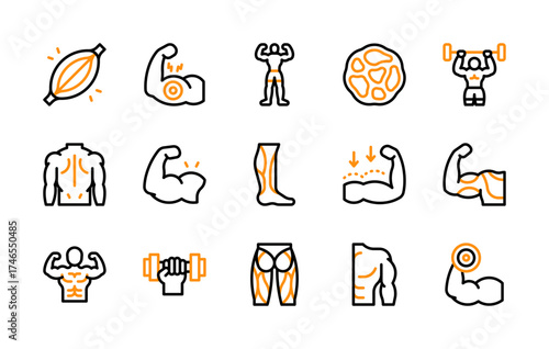 Set of Muscle icon. Bicep, Muscle, Human Body, Back, Bicep Strength Dumbbell, Muscle Fiber, Dumbbell, Bodybuilder, Weightlifting, Leg, Arm Muscle vector. 