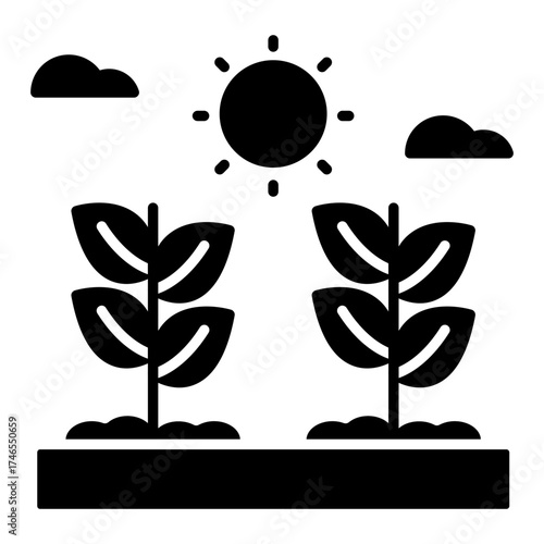 Vector design of growing plants