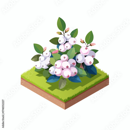 Snowberry bush on grassy island