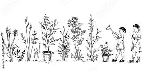 The planting phases, from seedling to plant with leaves, are shown in a modern infographic, complete with a bean in soil and watering can