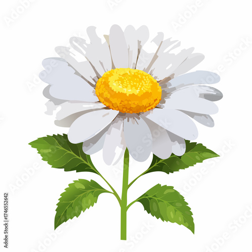 White daisy flower with green leaves with transparent background