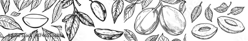 A seamless pattern of mangoes, featuring hand-drawn doodles of gourmet sweet mangoes, forms a modern background illustration