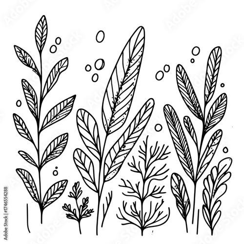 Underwater planting, including a variety of seaweeds and plants, forms a modern decorative set for aquariums with a striking seaweed silhouette