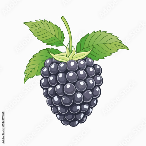 Illustration of a Ripe Blackberry with Green Leaves on a White Background