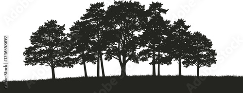 Tree group silhouette, forest nature illustration, environmental design artwork, eco-friendly landscape graphic, outdoor scenery symbol, conservation and greenery icon