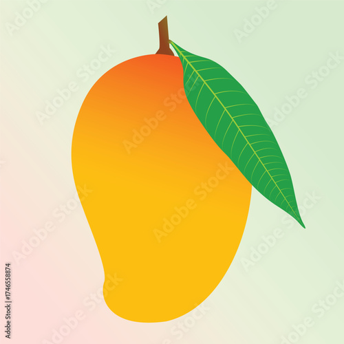 Realstic Mango Vector Illustration