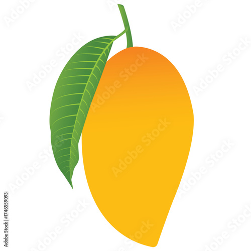 Realstic Mango Vector Illustration