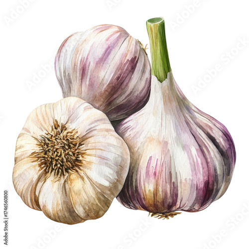 A trio of garlic bulbs on transparent background