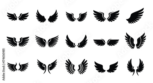 Collection of black wing icons wings symbols