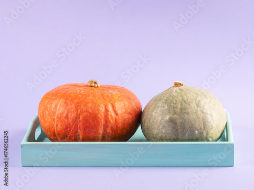 Colorful pumpkins on purple background on turquoise tray