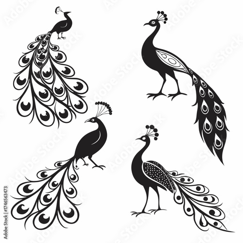 Stunning peacock silhouettes with elaborate tail feathers convey elegance and beauty, perfect for luxury branding, sophisticated designs, and eye-catching artistic projects