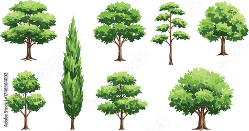 Collection of cartoon green trees with foliage in different shapes, tall and short types, isolated vector illustrations for landscape design, garden, park, and outdoor projects
