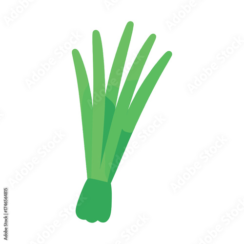 Fresh green chives bunch isolated on white background