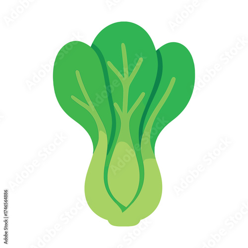 Flat design illustration of fresh green bok choy on white background