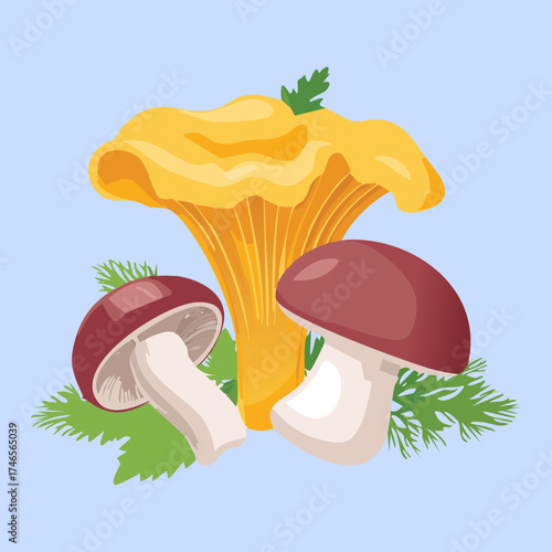 Wild Chanterelle Mushroom and Cremini Fungi with Herb Plants Decoration