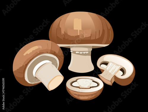 Classic Group of Earthy Brown Portobello and White Button Plants for Vegan Dishes